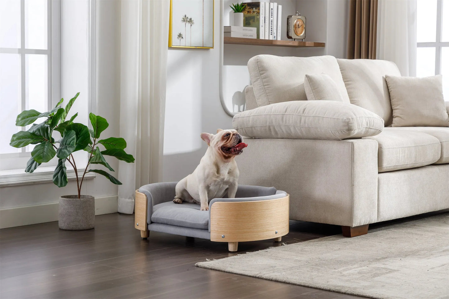 Scandinavian style Elevated Dog Bed Pet Sofa With Solid Wood legs and Bent Wood Back, Velvet Cushion,Mid Size Light Grey – view 1