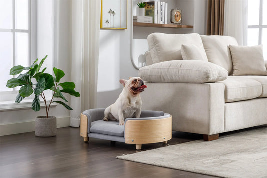 Scandinavian style Elevated Dog Bed Pet Sofa With Solid Wood legs and Bent Wood Back, Velvet Cushion,Mid Size Light Grey – view 1