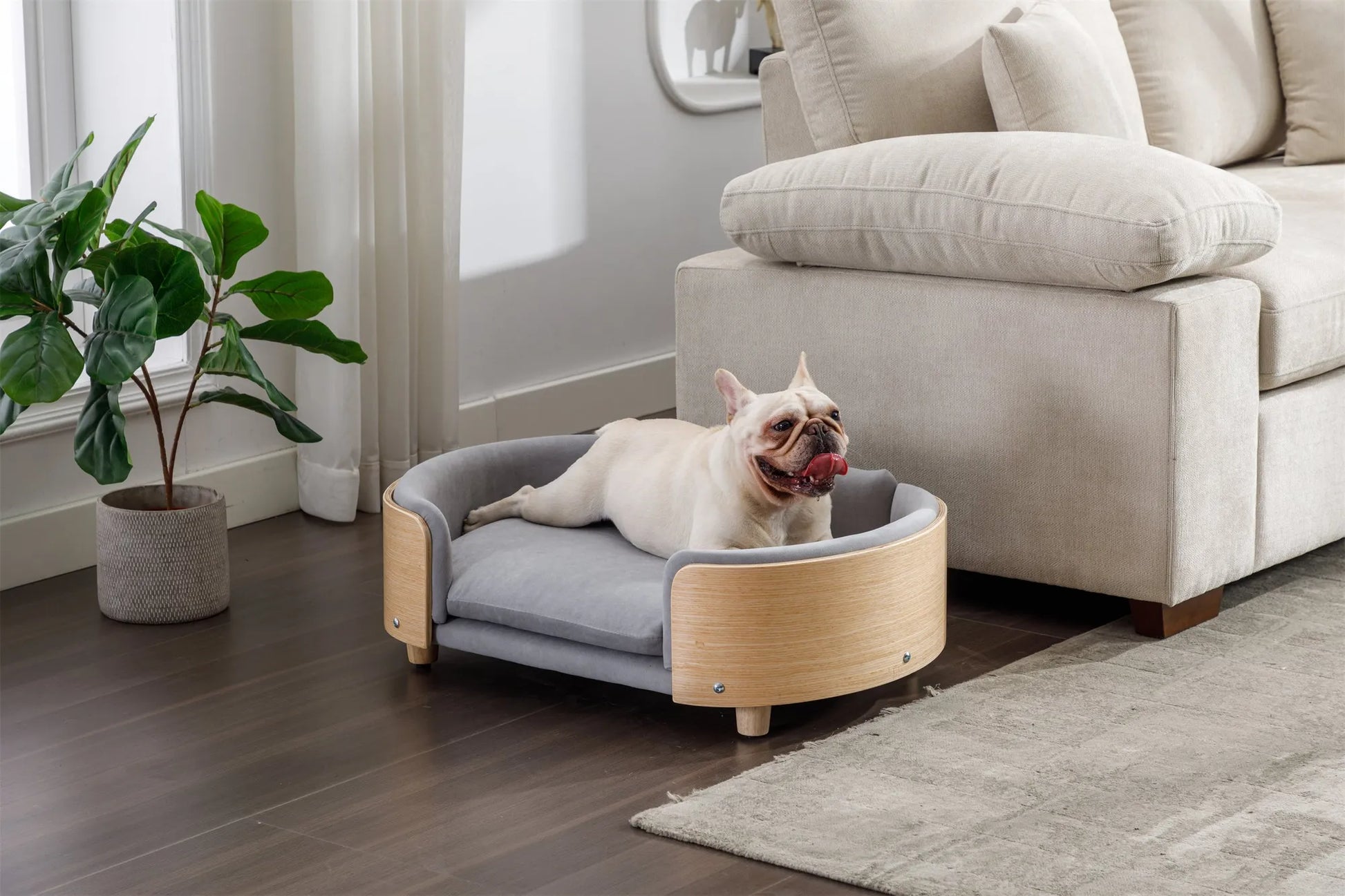 Scandinavian style Elevated Dog Bed Pet Sofa With Solid Wood legs and Bent Wood Back, Velvet Cushion,Mid Size Light Grey – view 2