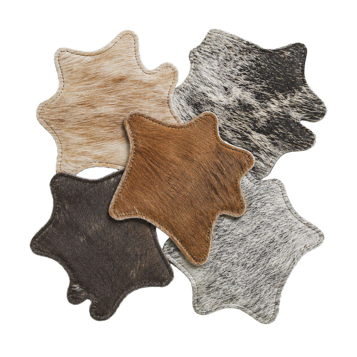 Set of four assorted genuine cowhide silhouette coasters with stitched edges on transparent background