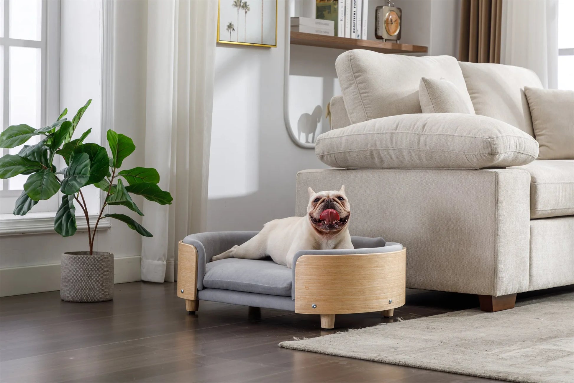 Scandinavian style Elevated Dog Bed Pet Sofa With Solid Wood legs and Bent Wood Back, Velvet Cushion,Mid Size Light Grey – view 3