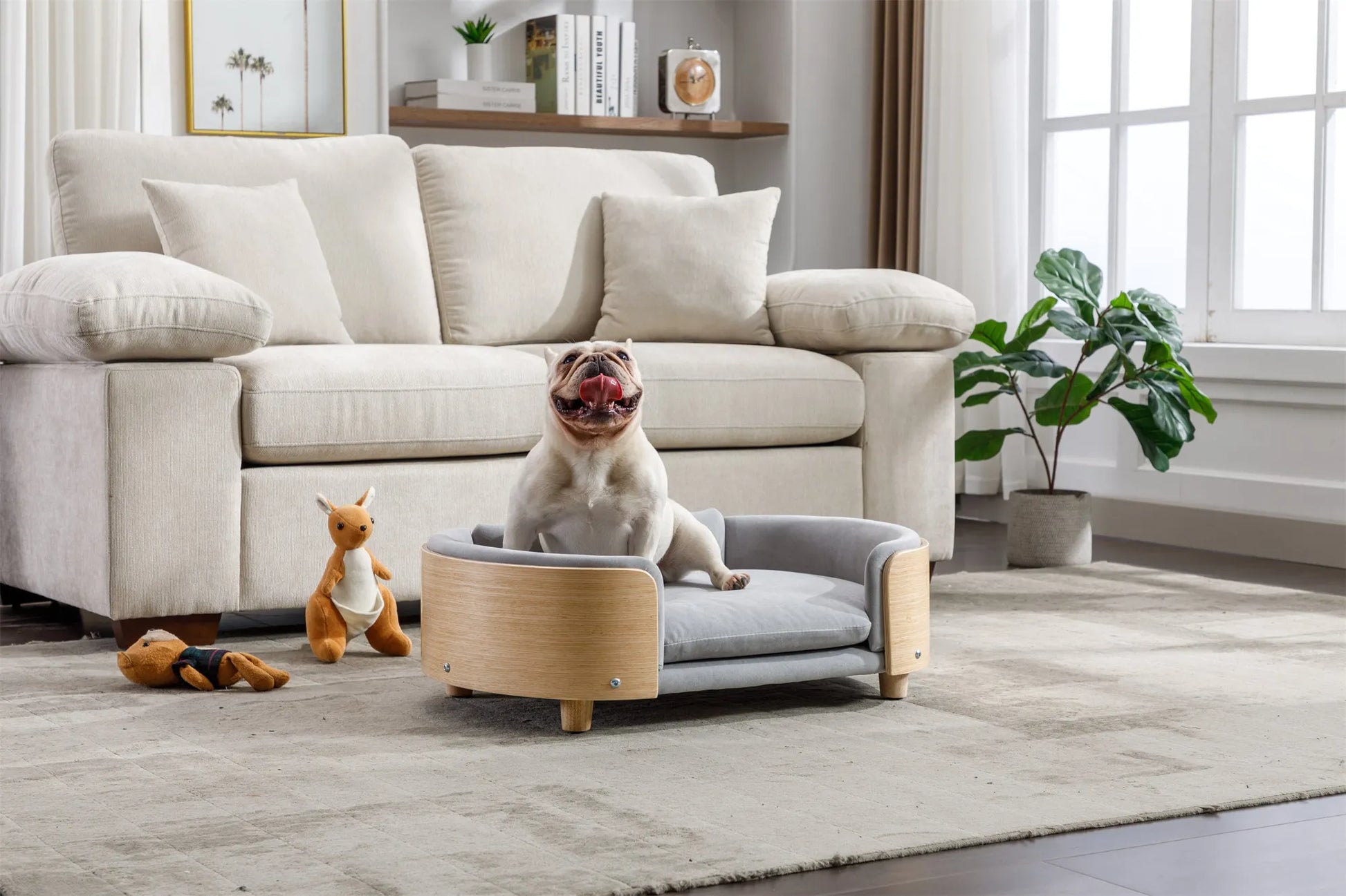 Scandinavian style Elevated Dog Bed Pet Sofa With Solid Wood legs and Bent Wood Back, Velvet Cushion,Mid Size Light Grey – view 6