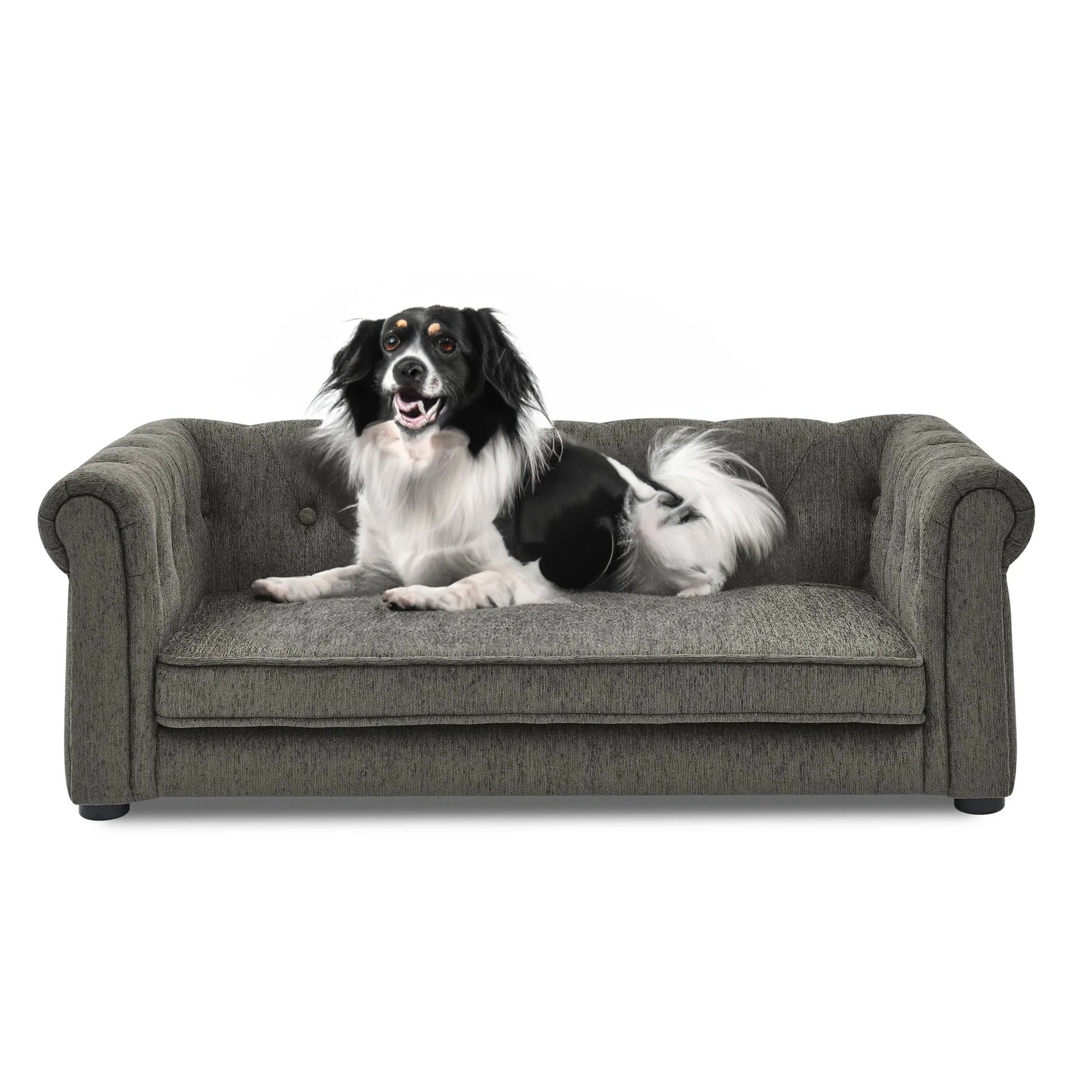 Modern Style Elegant Rectangle Pet Bed for Small and Medium Dogs, Durable Elevated Dog Sofa, Dark Grey Foam – view 9
