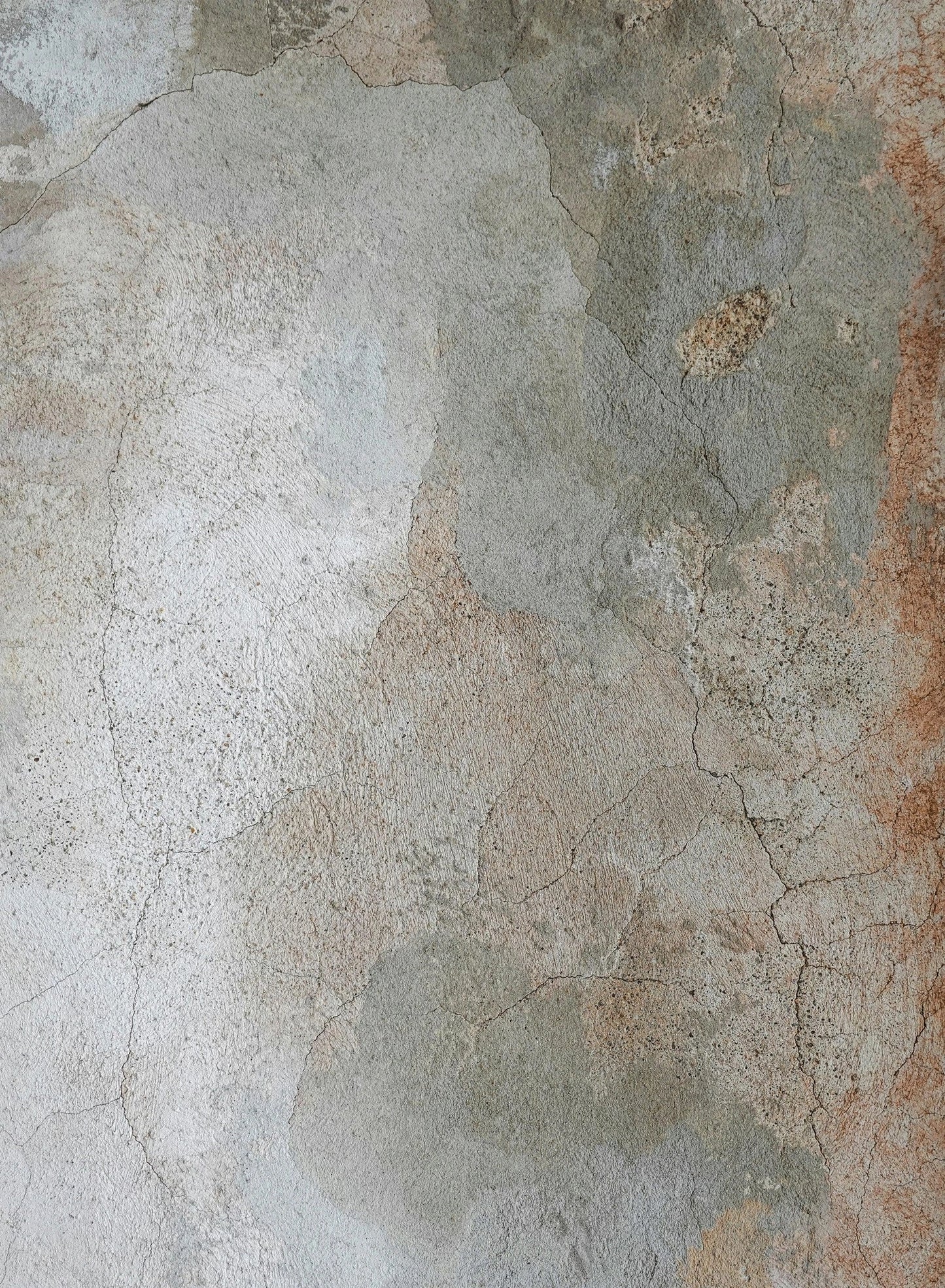 Artistic Multicolor Area Rug — TRE8018