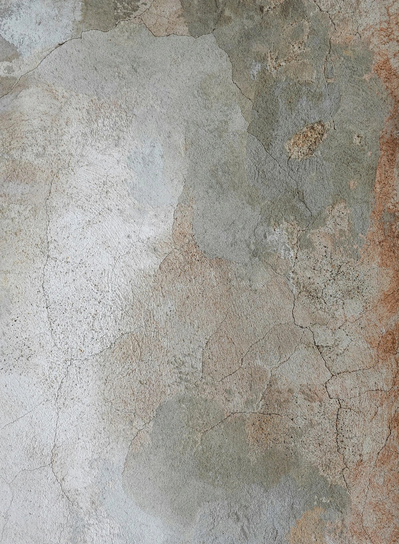 Artistic Multicolor Area Rug — TRE8018