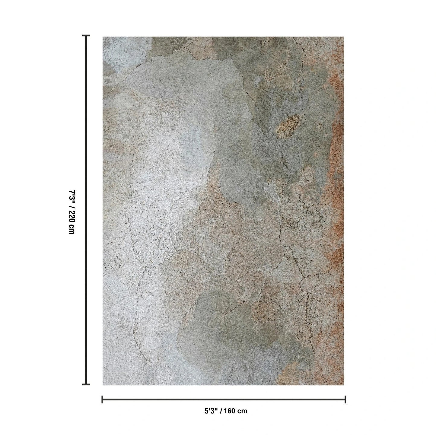 Artistic Multicolor Area Rug — TRE8018