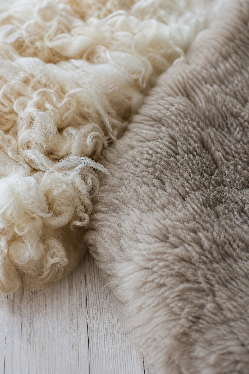 Softly curled wool beside dense natural sheepskin fleece