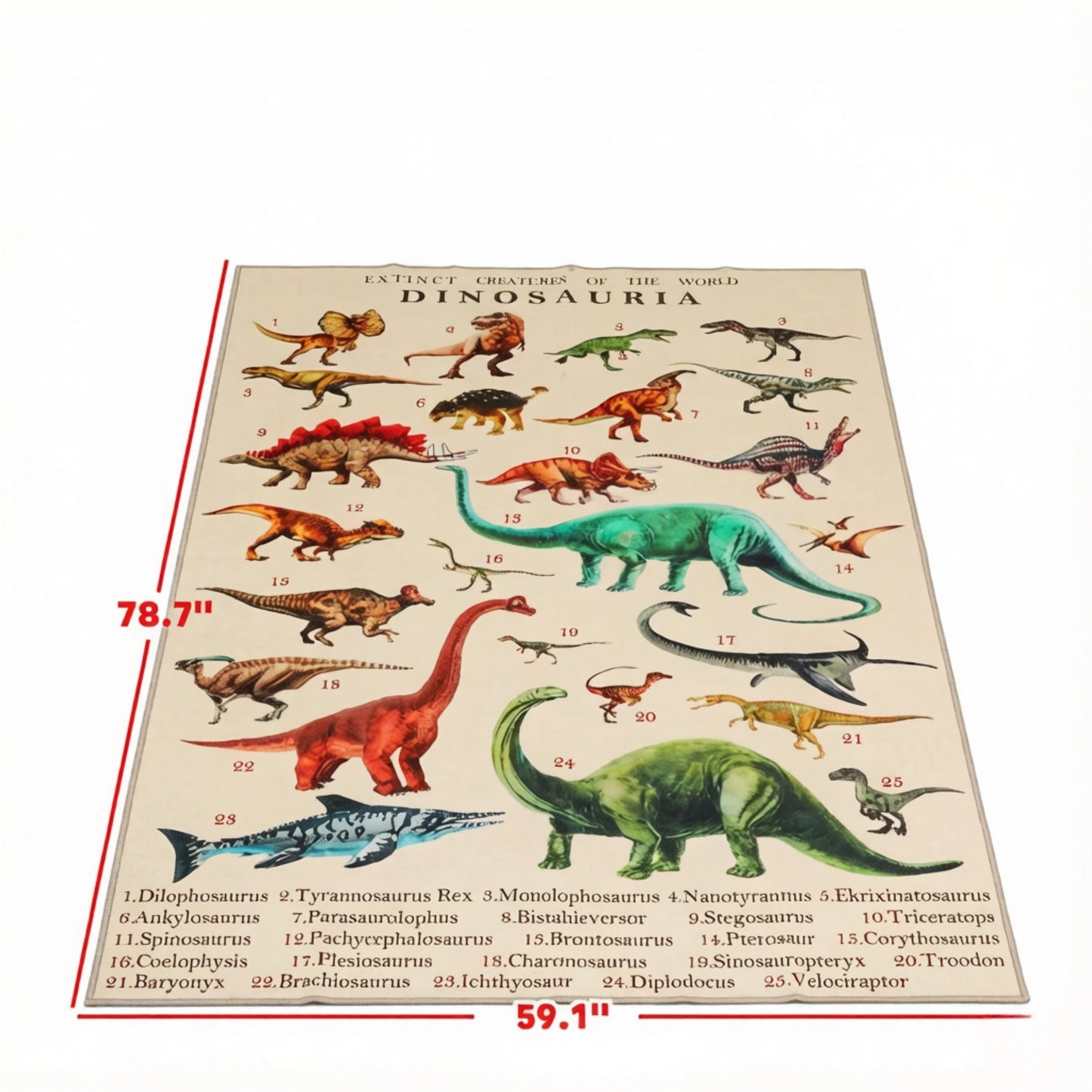 Interactive Dinosaur Discovery Kids Rug