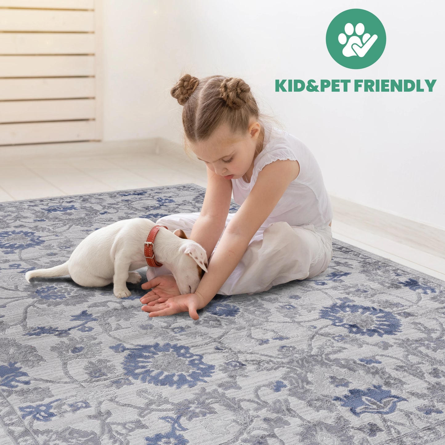 Loom & Luxe Blue & Silver & Oriental Area Rug
