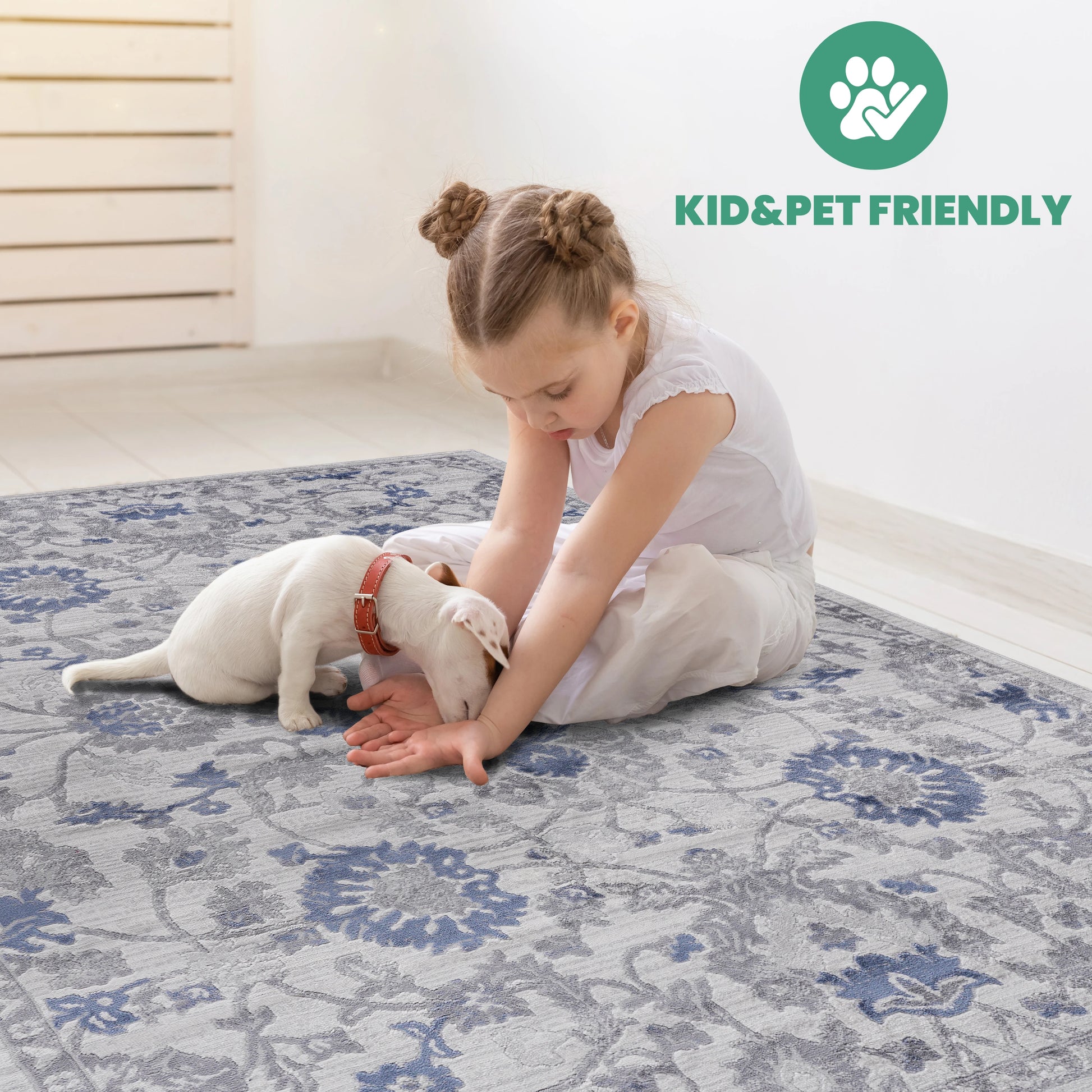 Loom & Luxe Blue & Silver & Oriental Area Rug