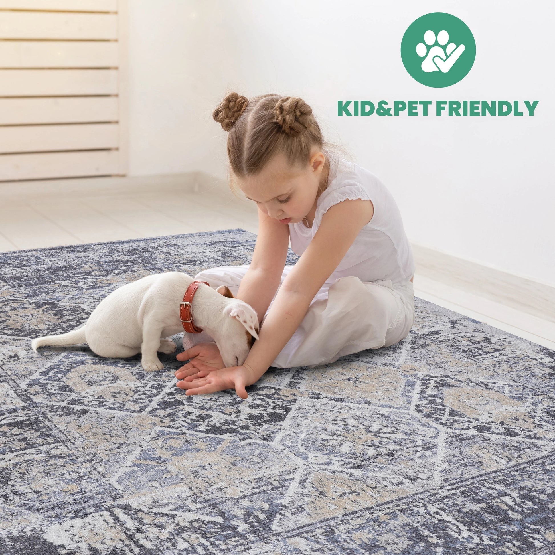 Loom & Luxe Grey & Blue & Traditional Area Rug