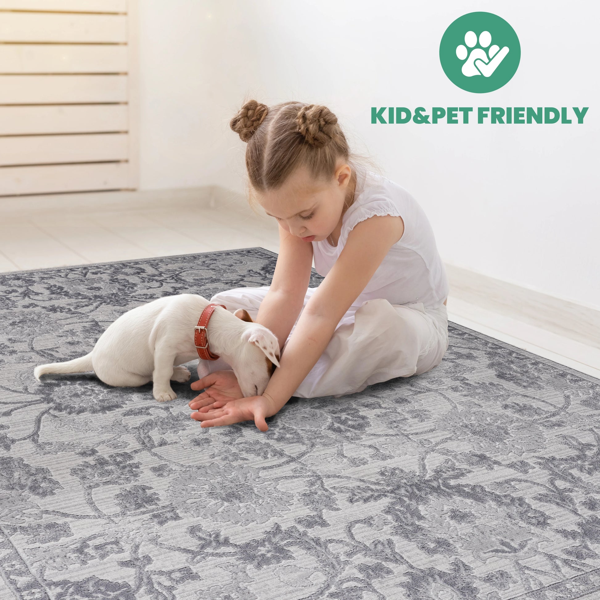 Loom & Luxe Grey & Silver & Oriental Area Rug
