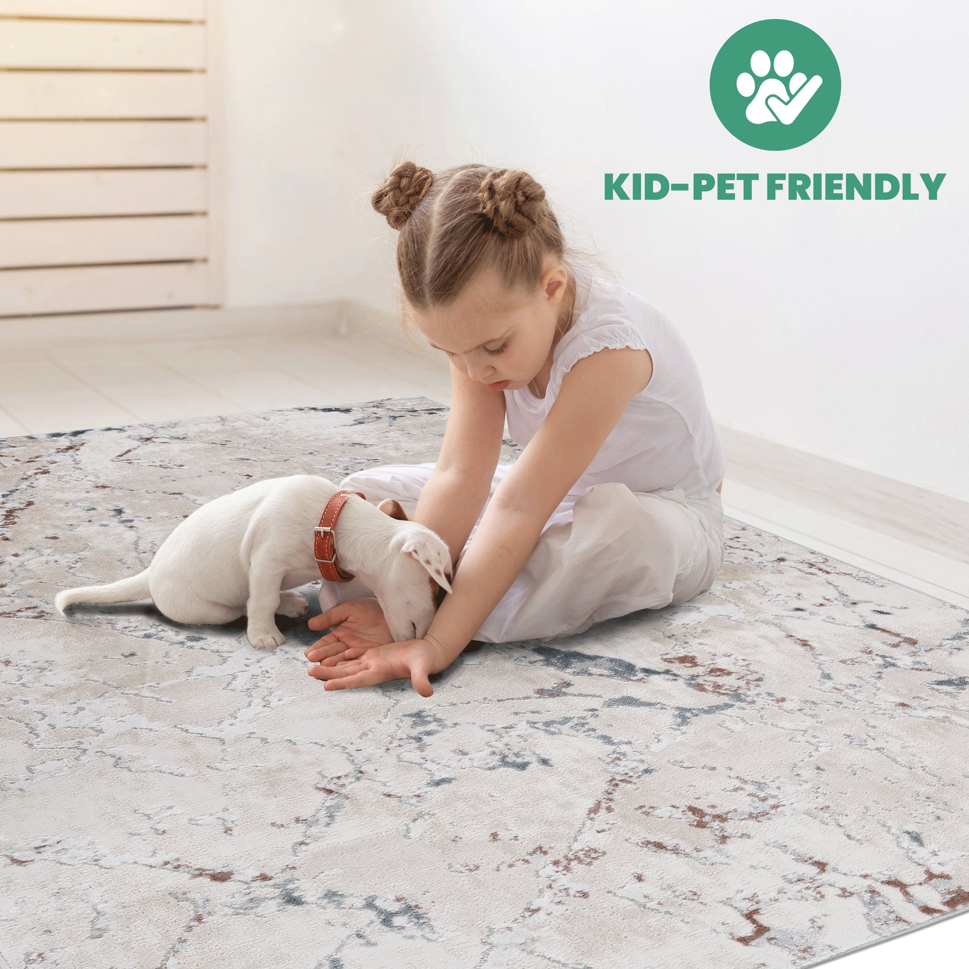 Loom & Luxe Multi & Contemporary Area Rug