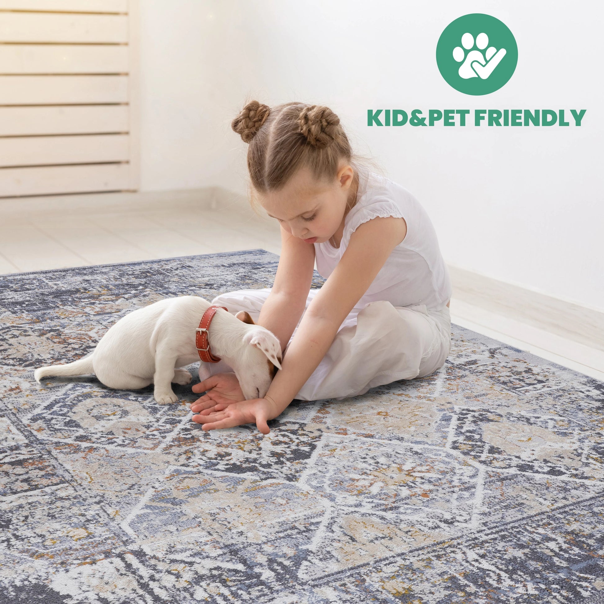 Loom & Luxe Multi & Traditional Area Rug