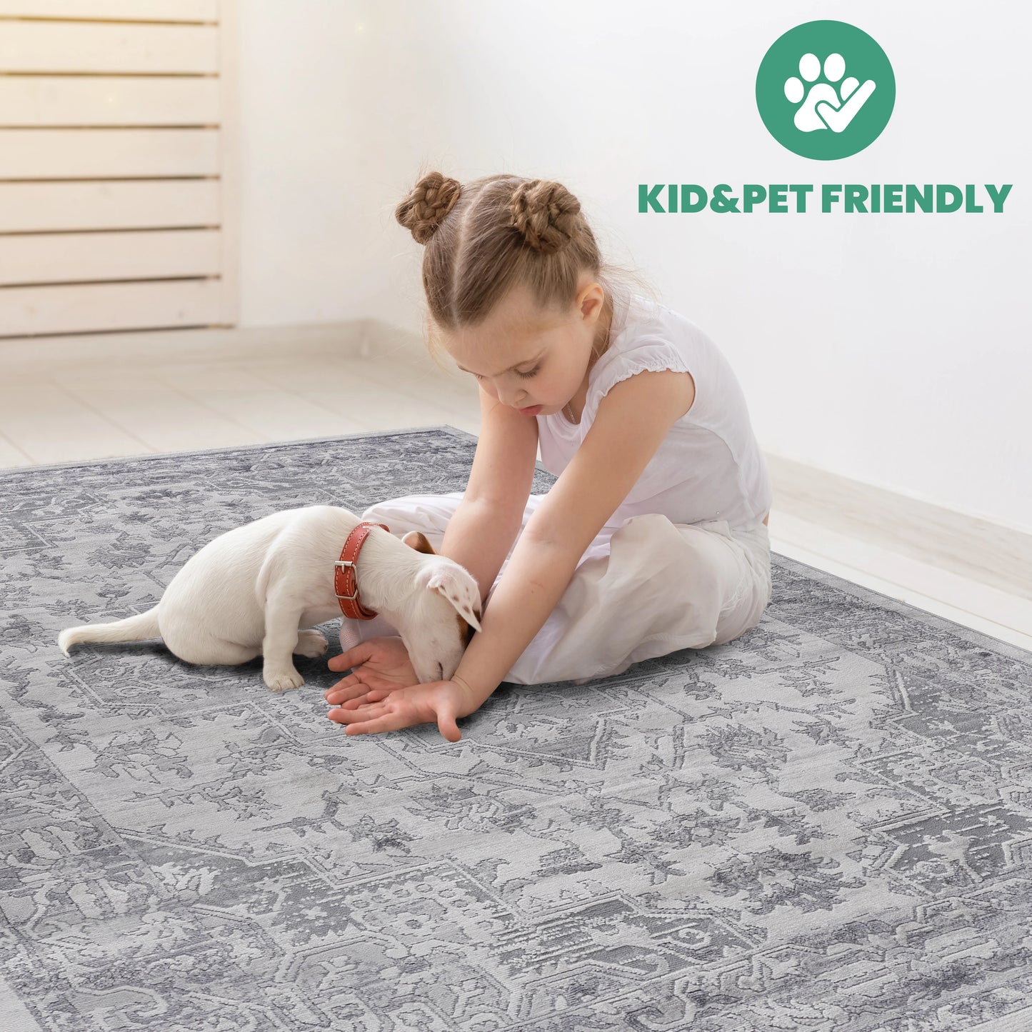 Loom & Luxe Silver & Oriental Area Rug