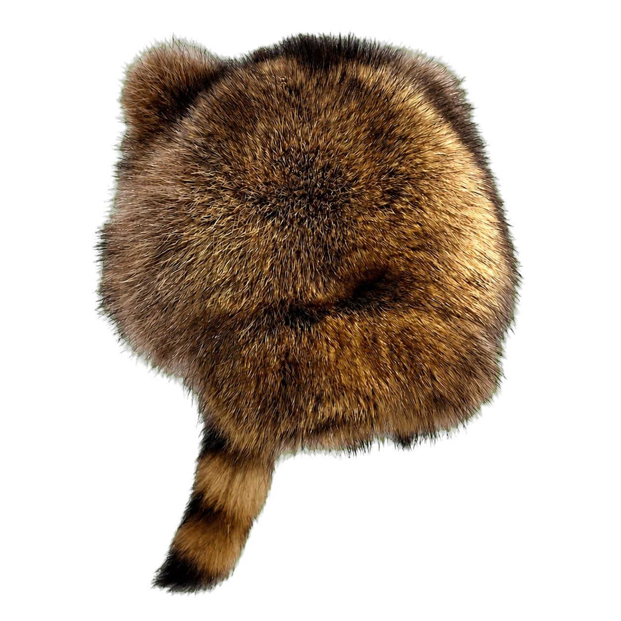 Raccoon Tail unisex genuine raccoon fur earflap hat on transparent background