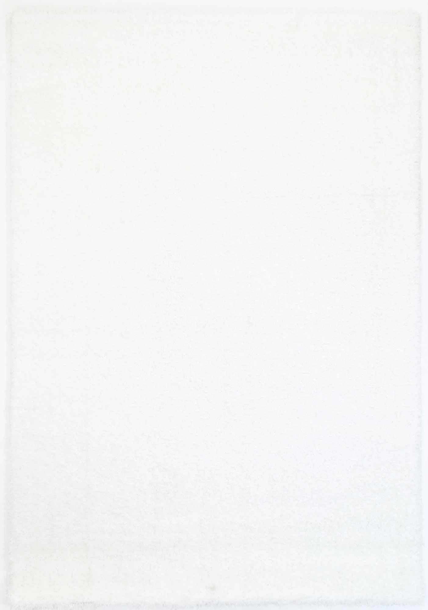 Zanca Modern Soft Shag Area Rug