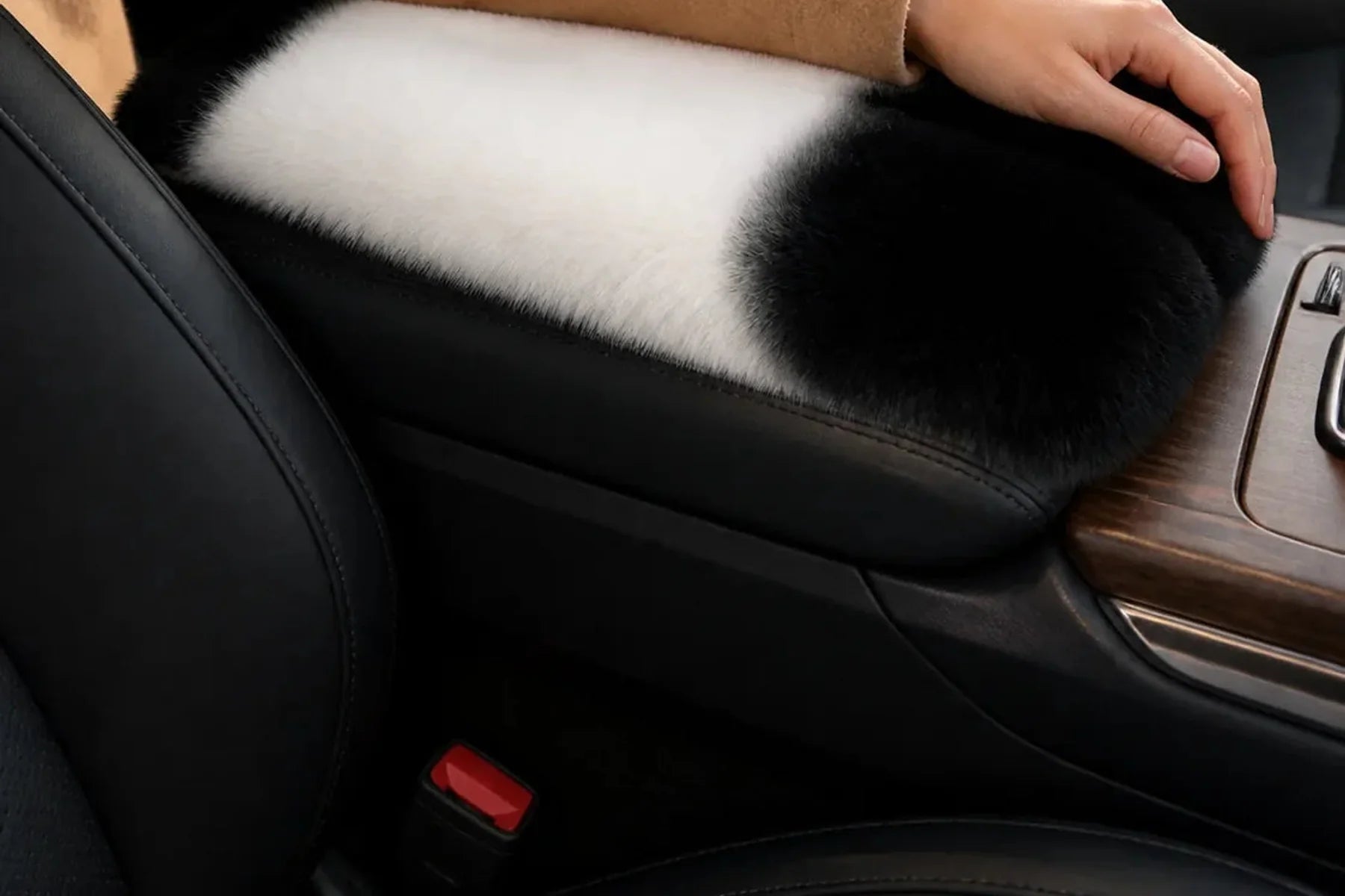 Interior Accessories